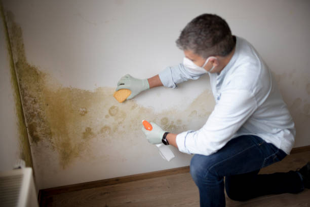 Best Airborne Mold Testing  in Fort Mitchell, KY
