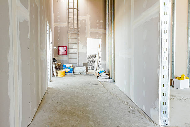 Best Forensic Mold Investigation  in Fort Mitchell, KY